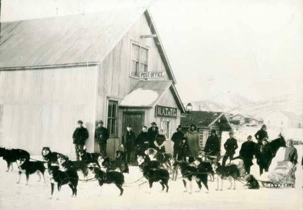 Dangerous Dogs of Early Anchorage